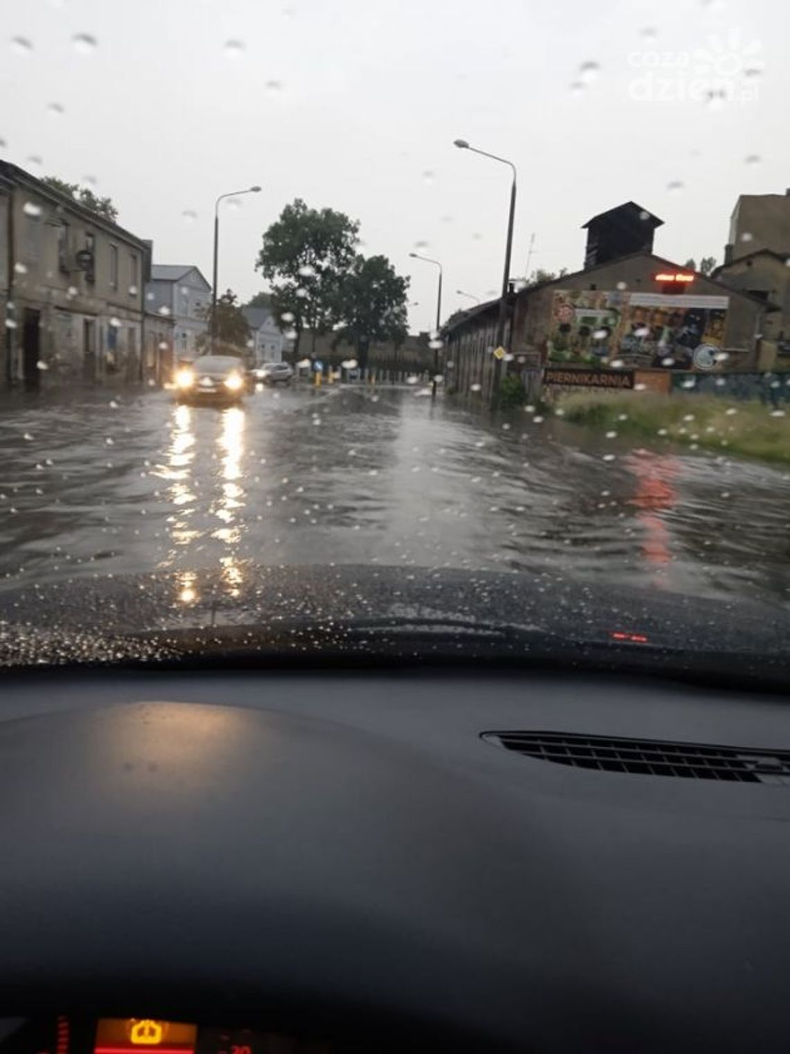 Zalane budynki i powalone drzewa 