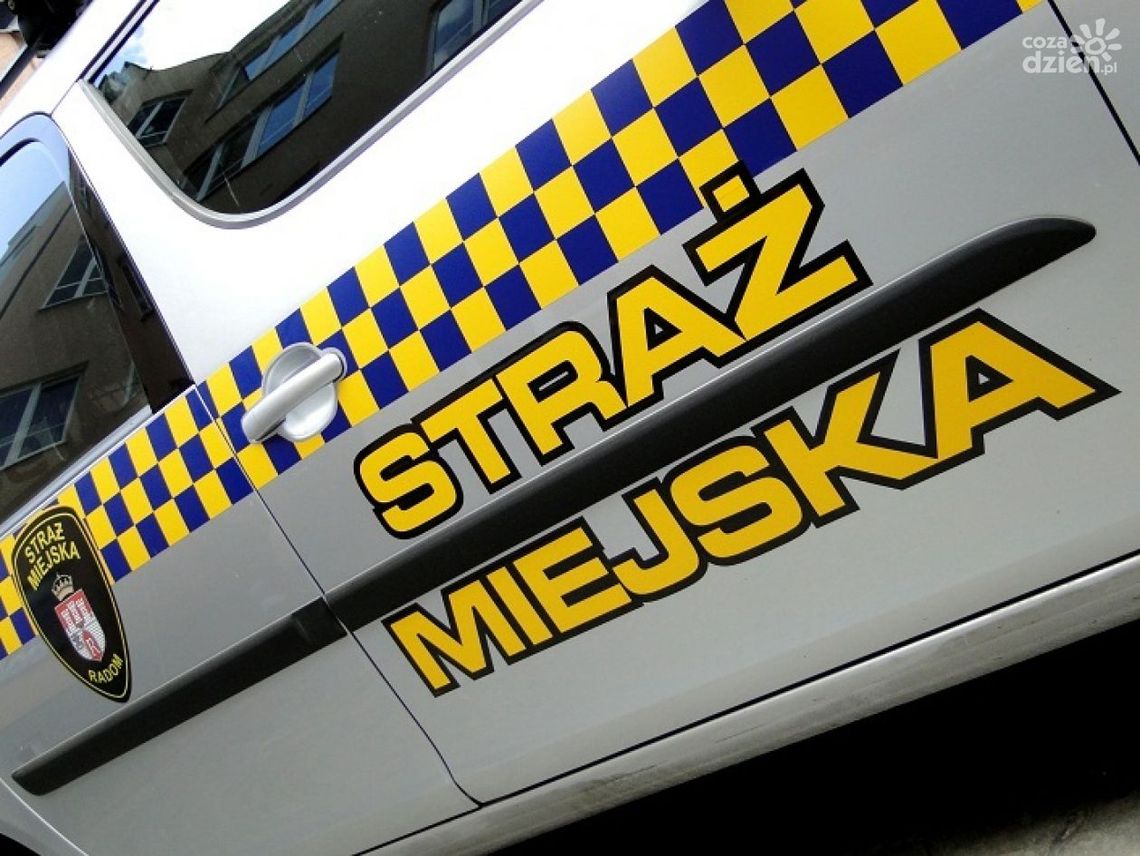 Załatwił potrzebę fizjologiczną na kamienicę. Interweniowali strażnicy miejscy