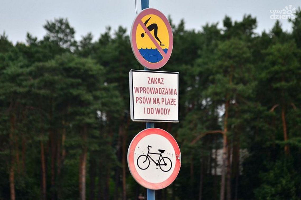 Zalew na Borkach i w Siczkach opanowały sinice! Co nam grozi?