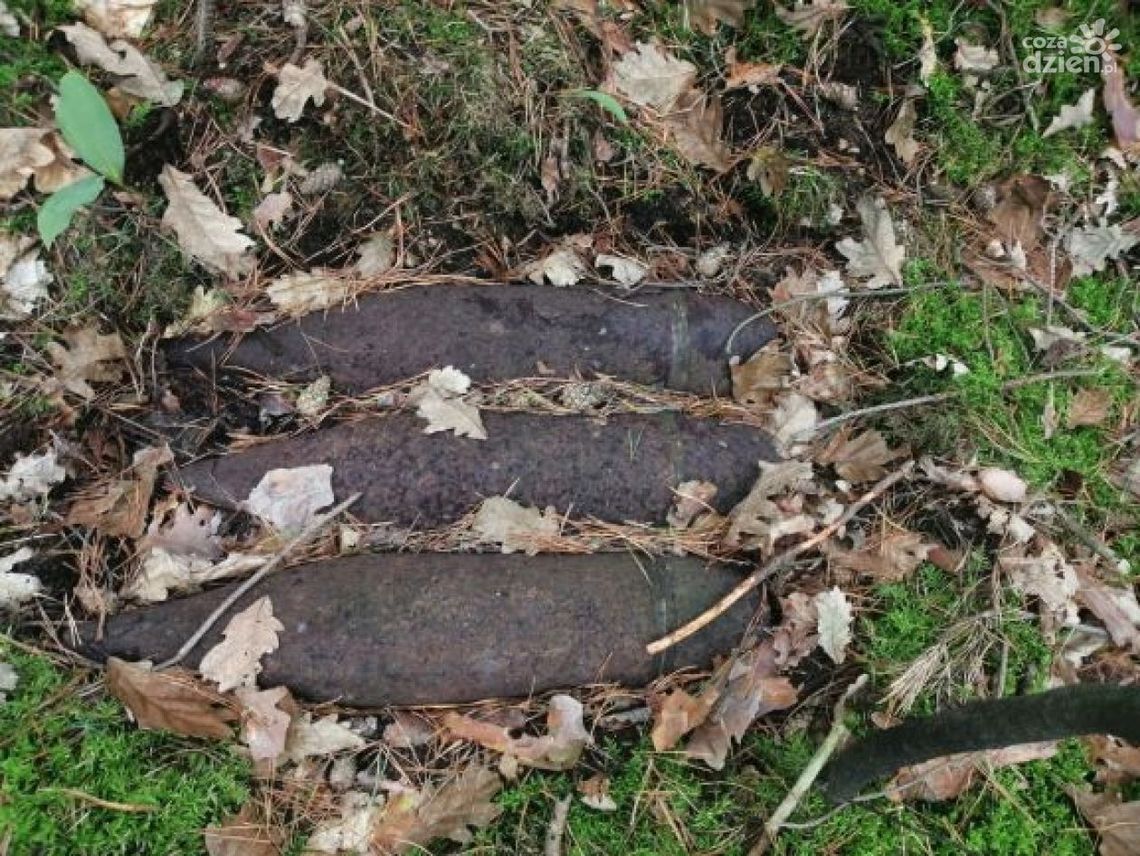 Zamiast grzybów znalazł niewybuchy