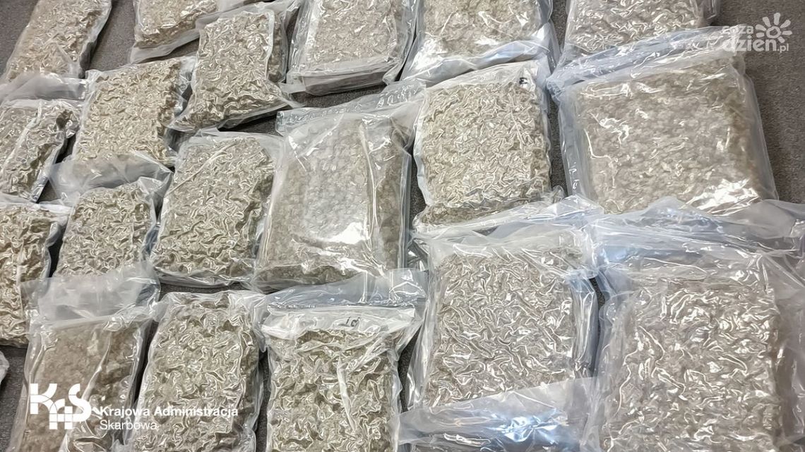 Zamiast poduszek narkotyki warte blisko 2 mln zł Zamiast poduszek narkotyki warte blisko 2 mln zł