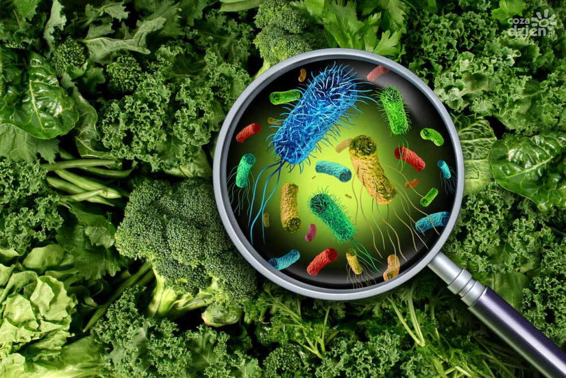 Zanieczyszczenia żywności – jak mogą szkodzić zdrowiu?