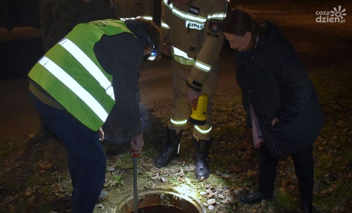Zanieczyszczony Potok Północny. Trwa postępowanie Zanieczyszczony Potok Północny. Trwa postępowanie