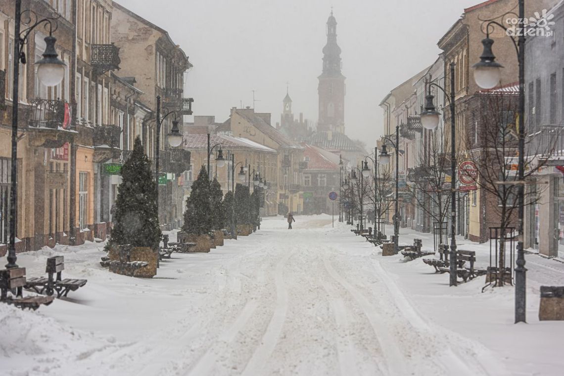 Zaprocentuj dla Radomia