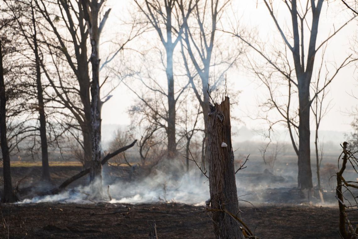 Zarzut za podpalenie