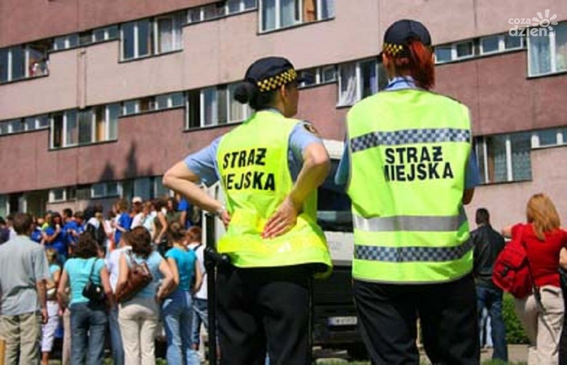 Zaśmiecasz miasto? Bój się!