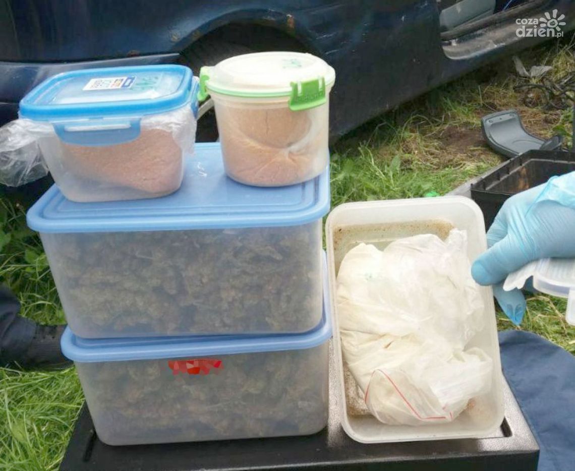 Zatrzymano trzech handlarzy narkotyków Zatrzymano trzech handlarzy narkotyków