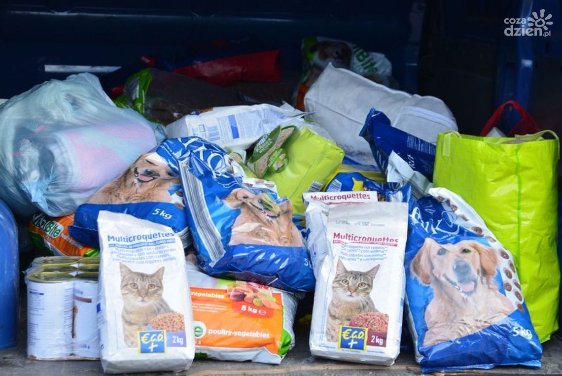 Zbiórka dla schroniska kończy się w piątek