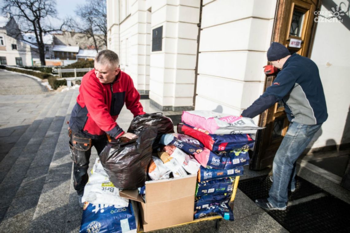 Zbiórka na rzecz radomskiego schroniska przedłużona