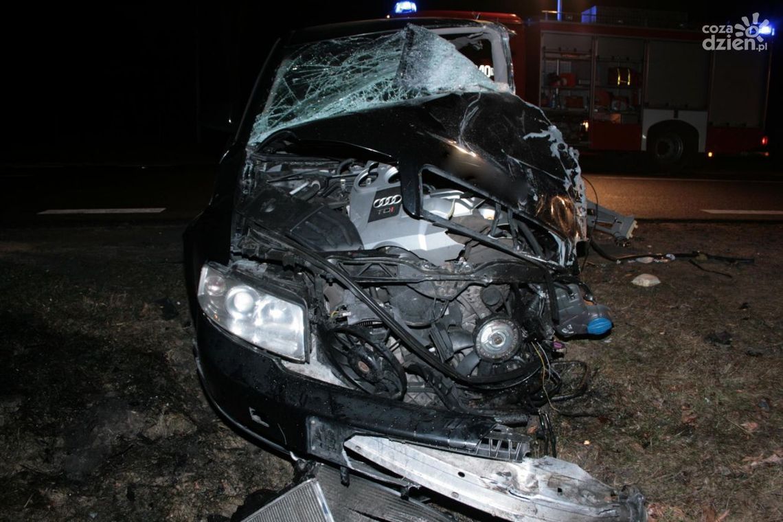 Zderzenie audi z autobusem. Jedna osoba w szpitalu Zderzenie audi z autobusem. Jedna osoba w szpitalu