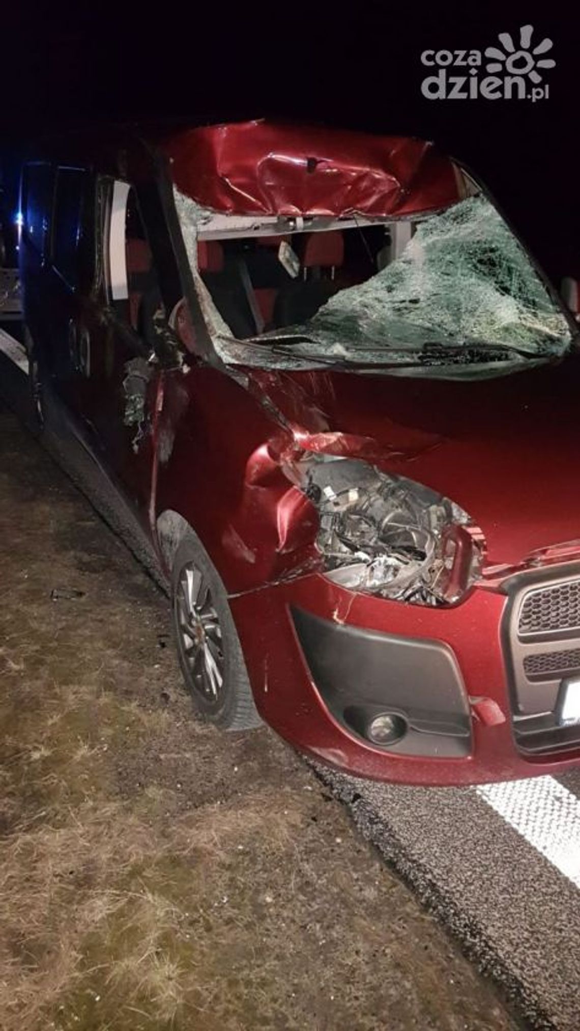 Zderzenie jelenia z autem Zderzenie jelenia z autem