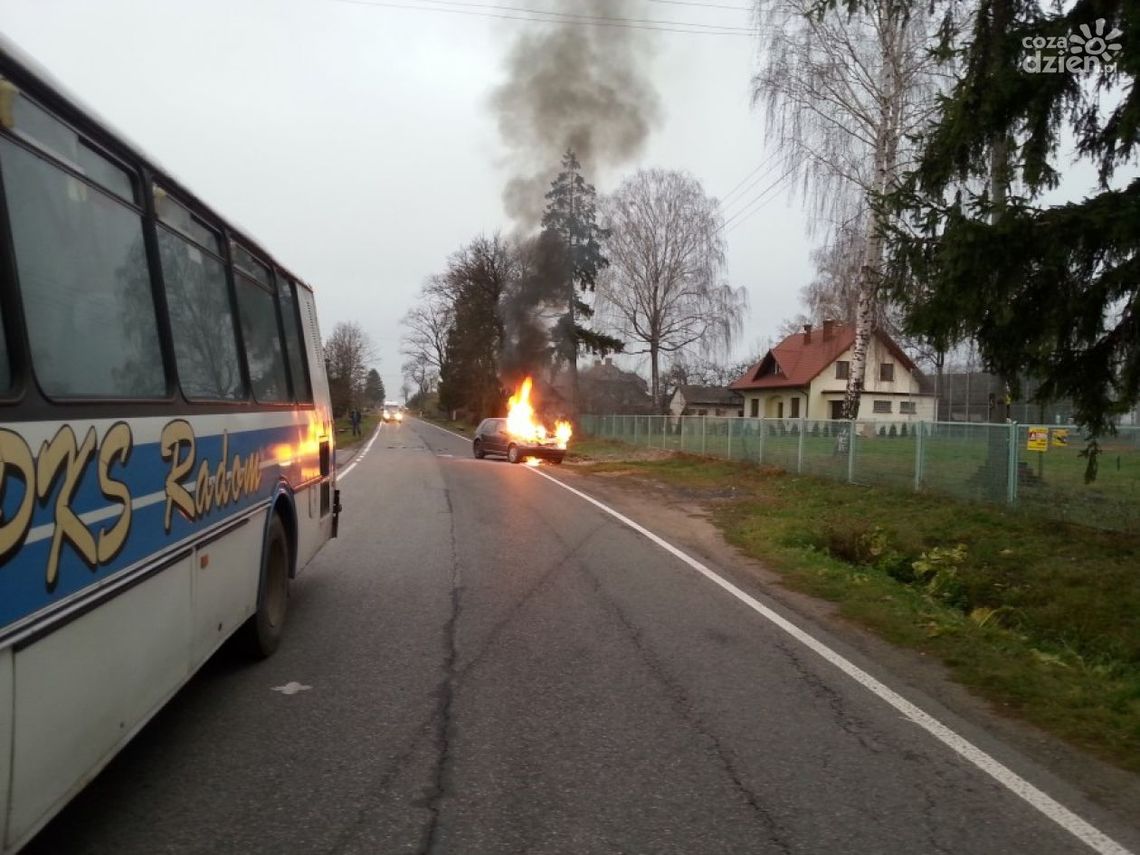 Zderzył się z autobusem i stanął w płomieniach! (VIDEO)