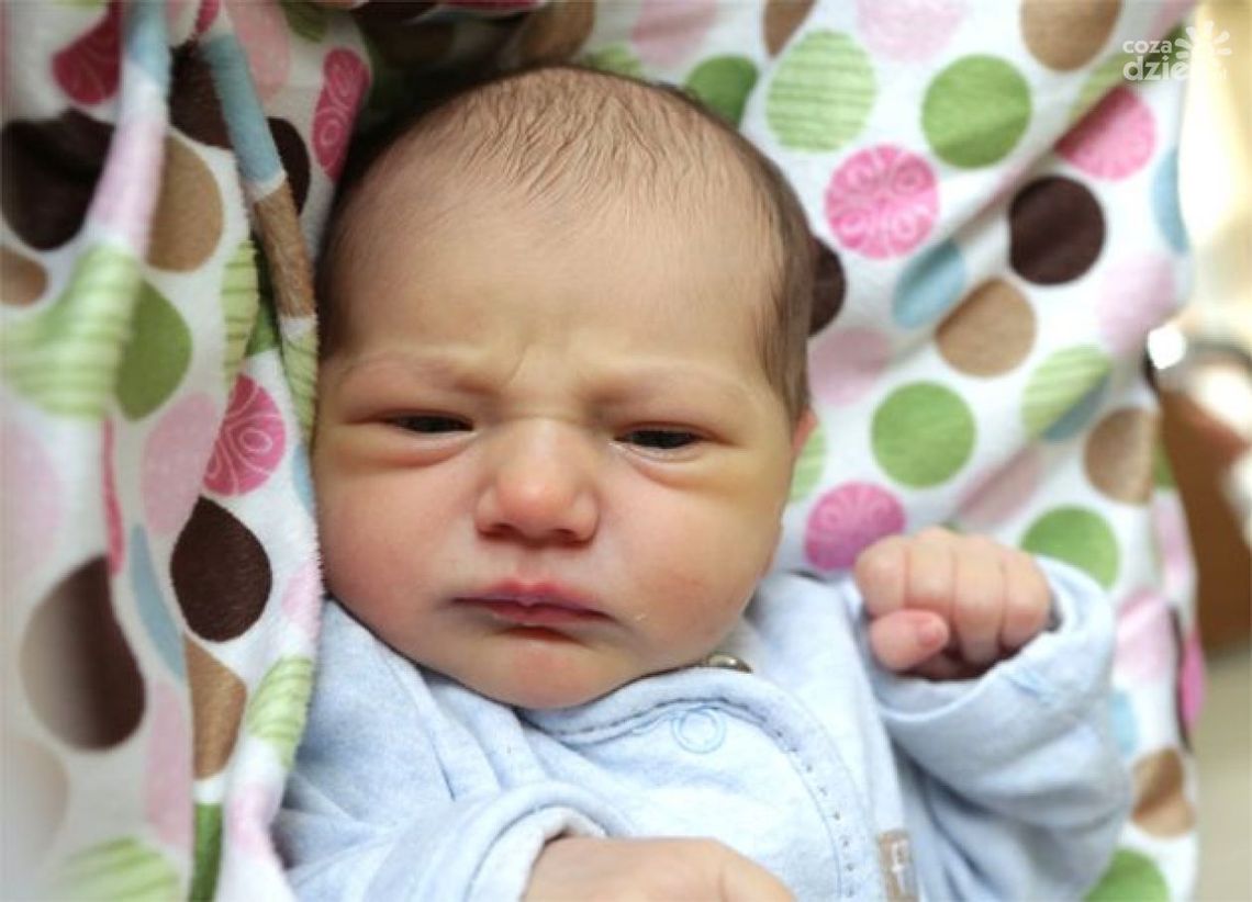 Zdjęcia dzieci z 12 grudnia Zdjęcia dzieci z 12 grudnia