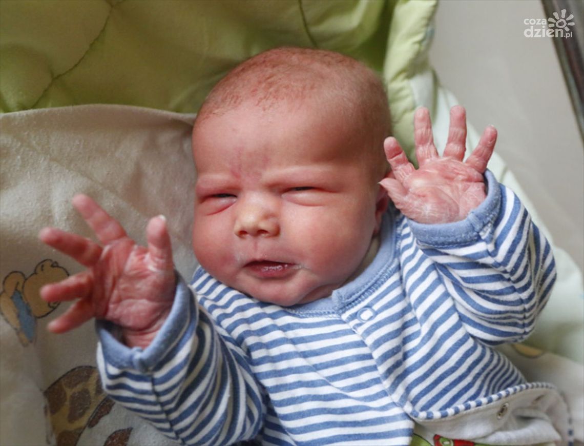 Zdjęcia dzieci z 16 listopada Zdjęcia dzieci z 16 listopada