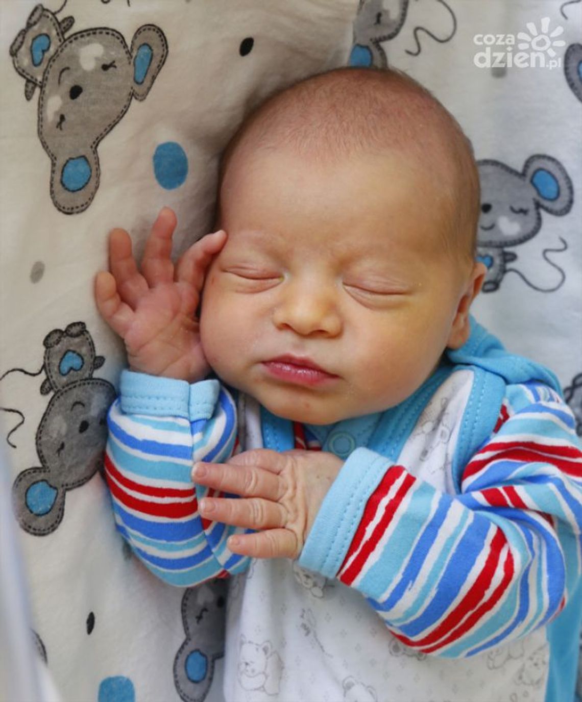 Zdjęcia dzieci z 17 października