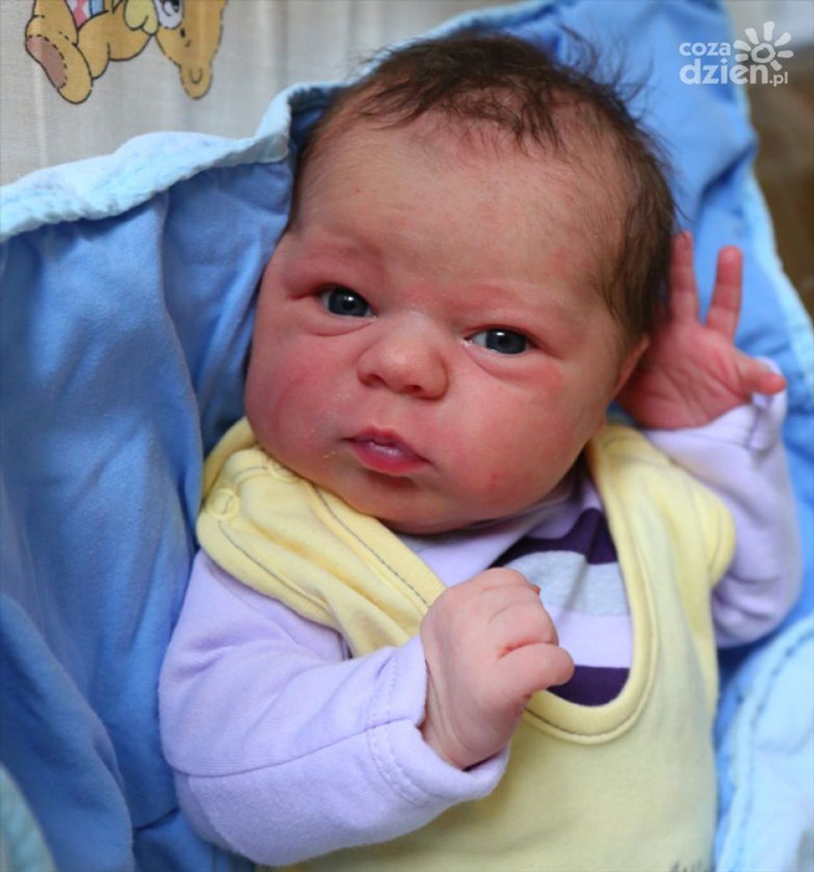 Zdjęcia dzieci z 18 grudnia Zdjęcia dzieci z 18 grudnia