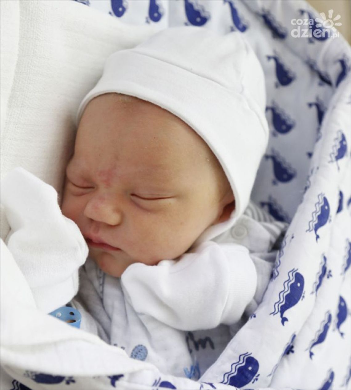 Zdjęcia dzieci z 23 lutego