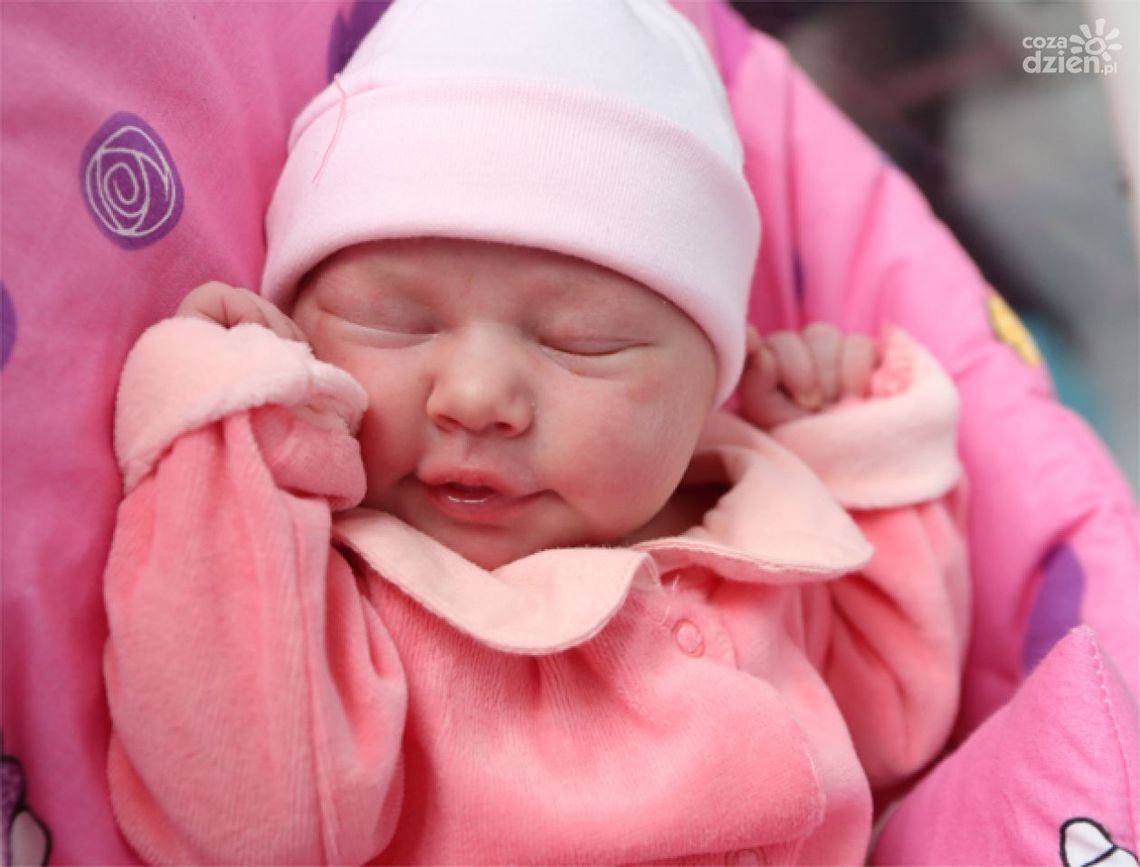 Zdjęcia dzieci z 23 lutego