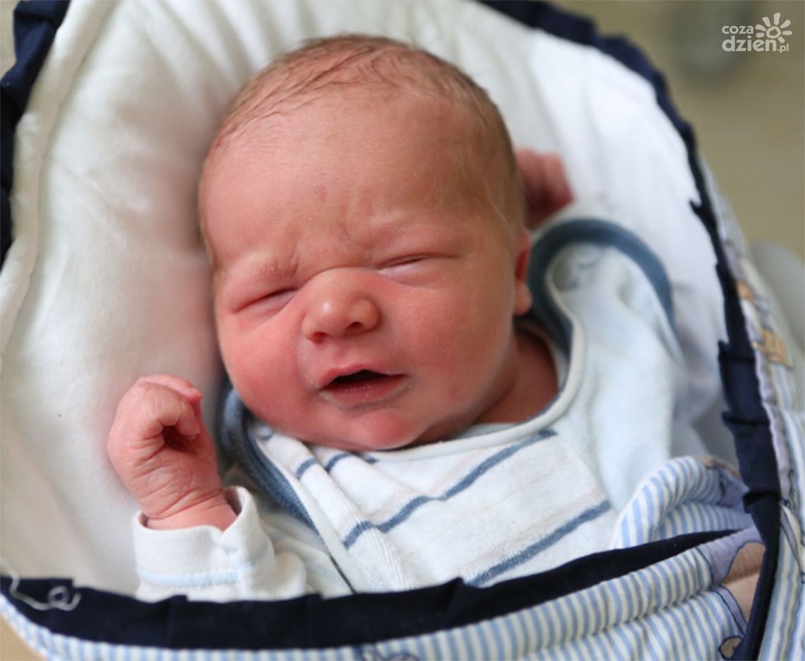 Zdjęcia dzieci z 26 listopada Zdjęcia dzieci z 26 listopada