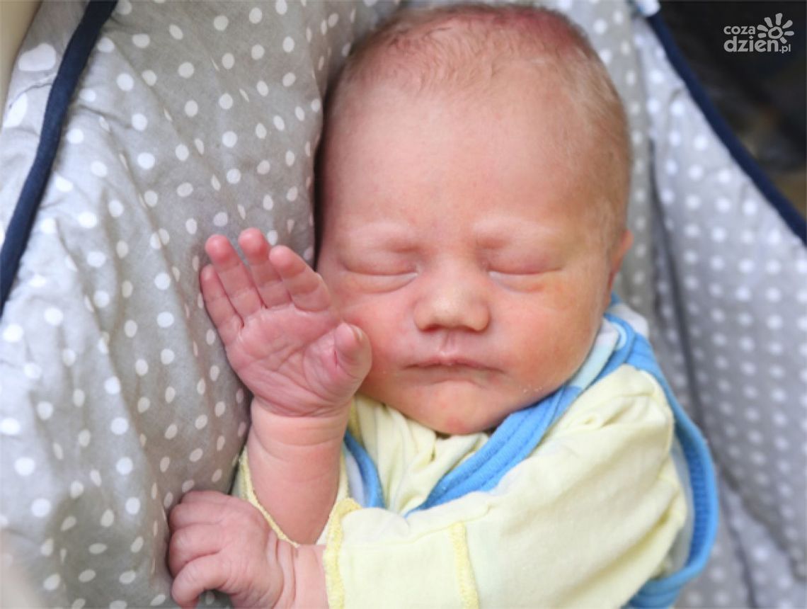 Zdjęcia dzieci z 31 sierpnia