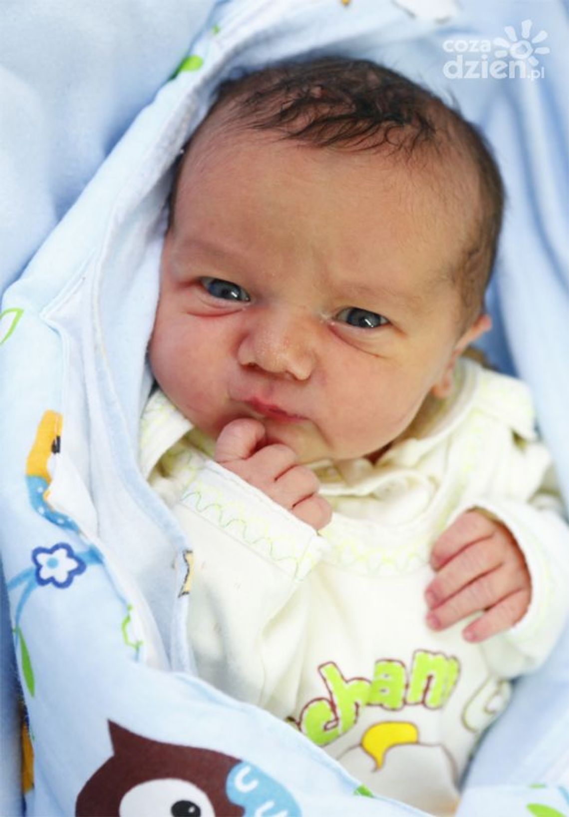 Zdjęcia dzieci z 7 grudnia Zdjęcia dzieci z 7 grudnia