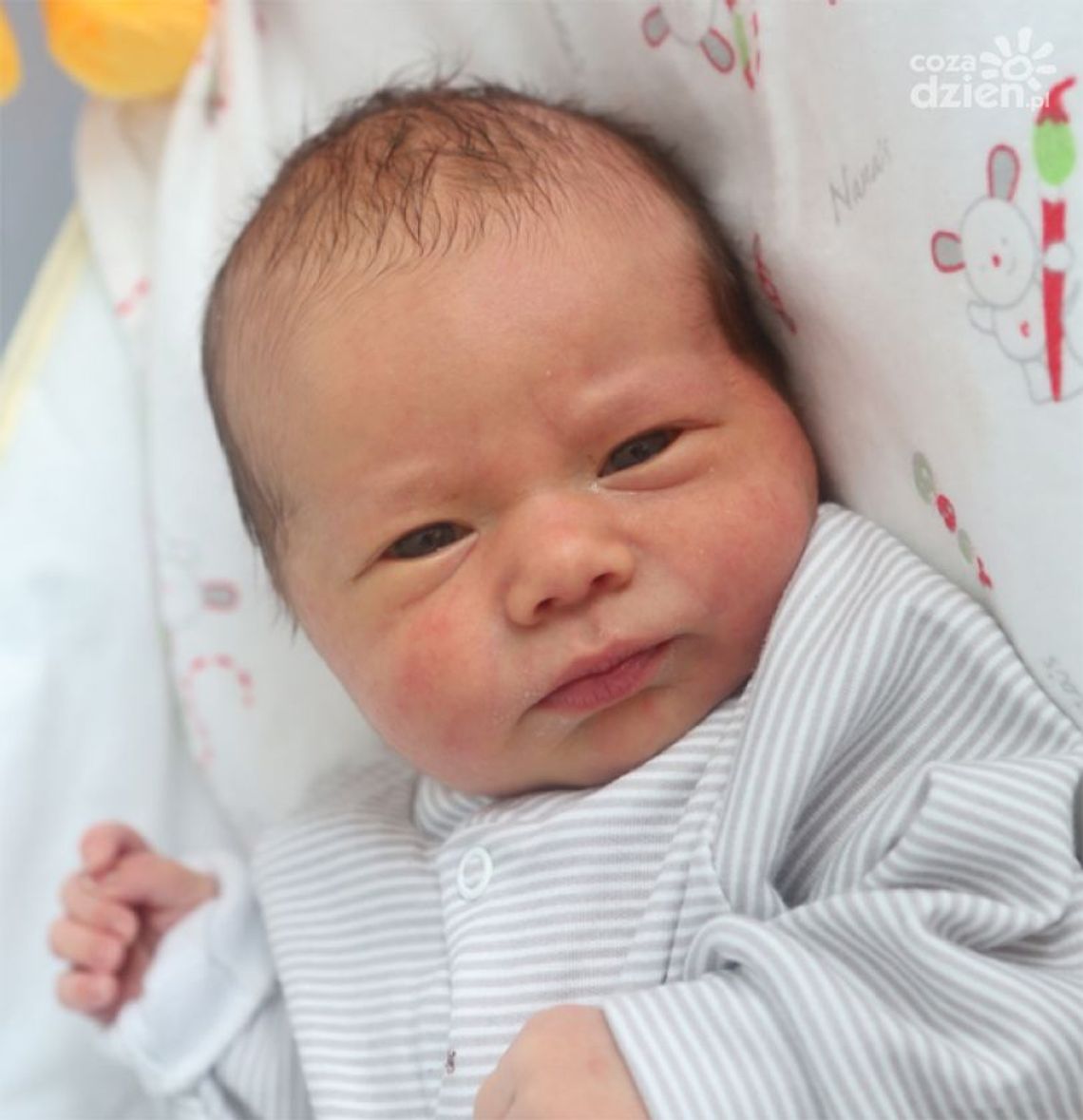 Zdjęcia dzieci z 8 czerwca Zdjęcia dzieci z 8 czerwca