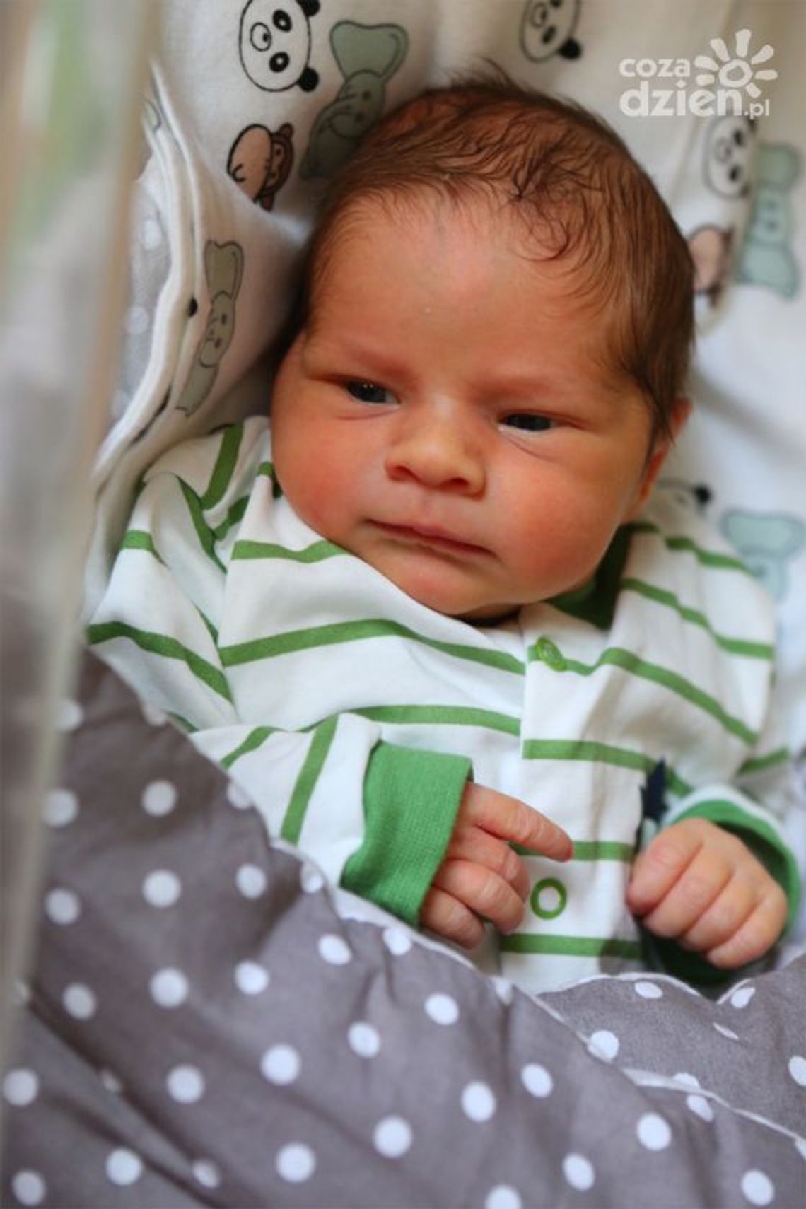 Zdjęcia dzieci z 8 marca