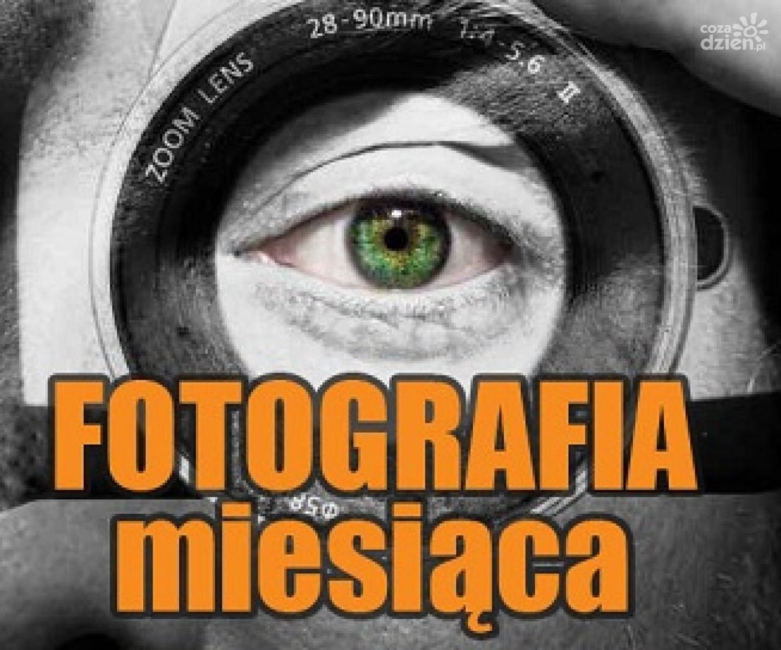 ZDJĘCIE MIESIĄCA - ZAGŁOSUJ!