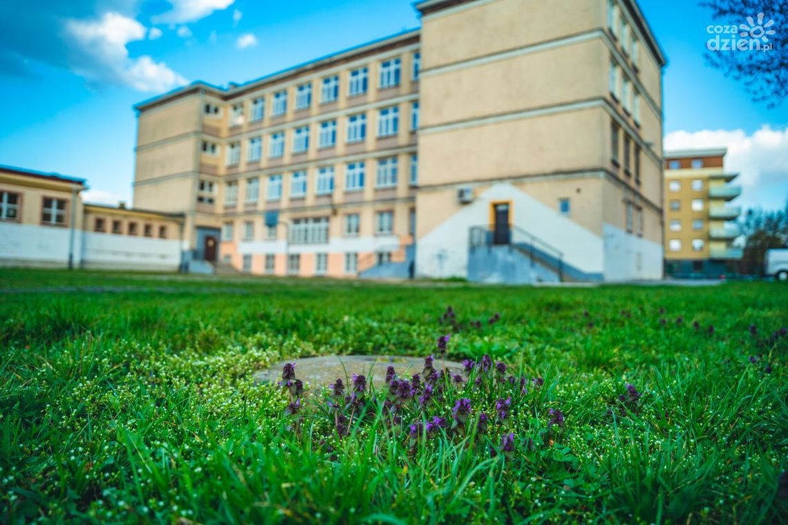 Ze szkolnej kroniki: PSP nr 7 im. Kazimierza Pułaskiego Ze szkolnej kroniki: PSP nr 7 im. Kazimierza Pułaskiego