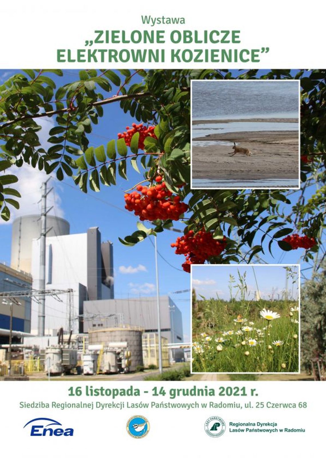 Zielone oblicze Elektrowni Kozienice. RDLP zaprasza na wystawę Zielone oblicze Elektrowni Kozienice. RDLP zaprasza na wystawę
