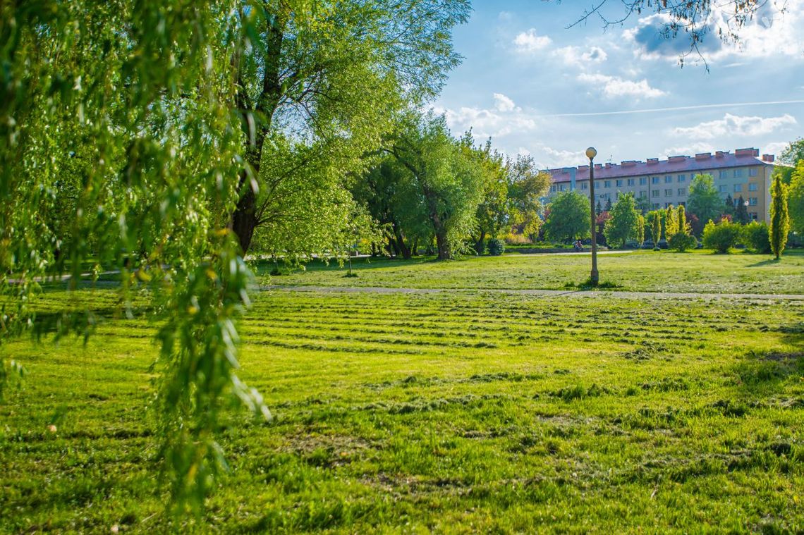 Zielone potrzeby Radomia