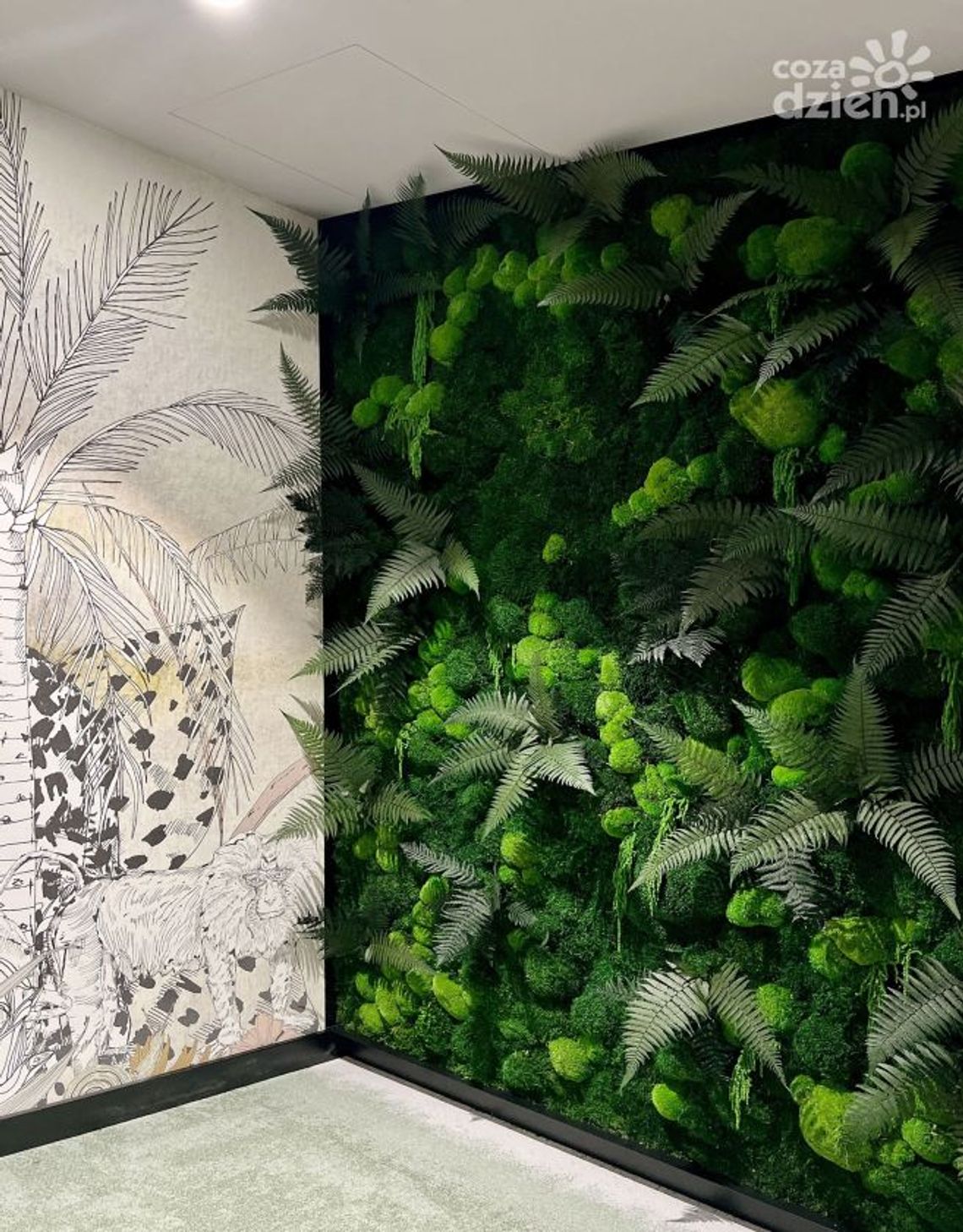 Zielone ściany przyszłości – jak rośliny podbijają pionowe przestrzenie? Zielone ściany przyszłości – jak rośliny podbijają pionowe przestrzenie?