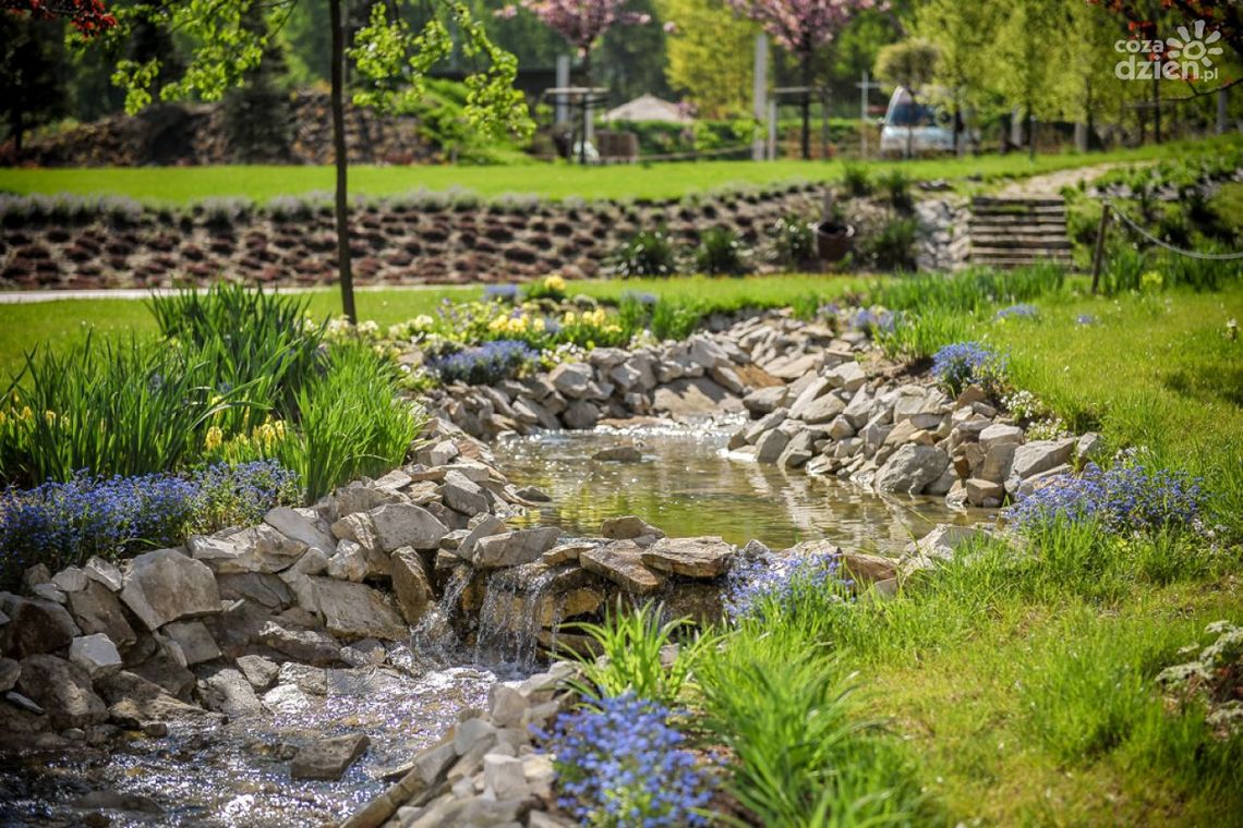 „Ziemia na bosaka”