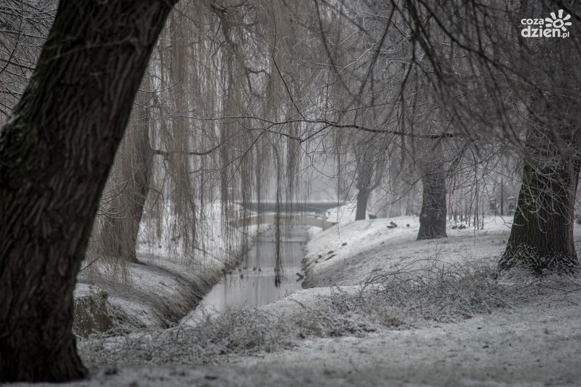 Zimowy weekend w naszym obiektywie Zimowy weekend w naszym obiektywie