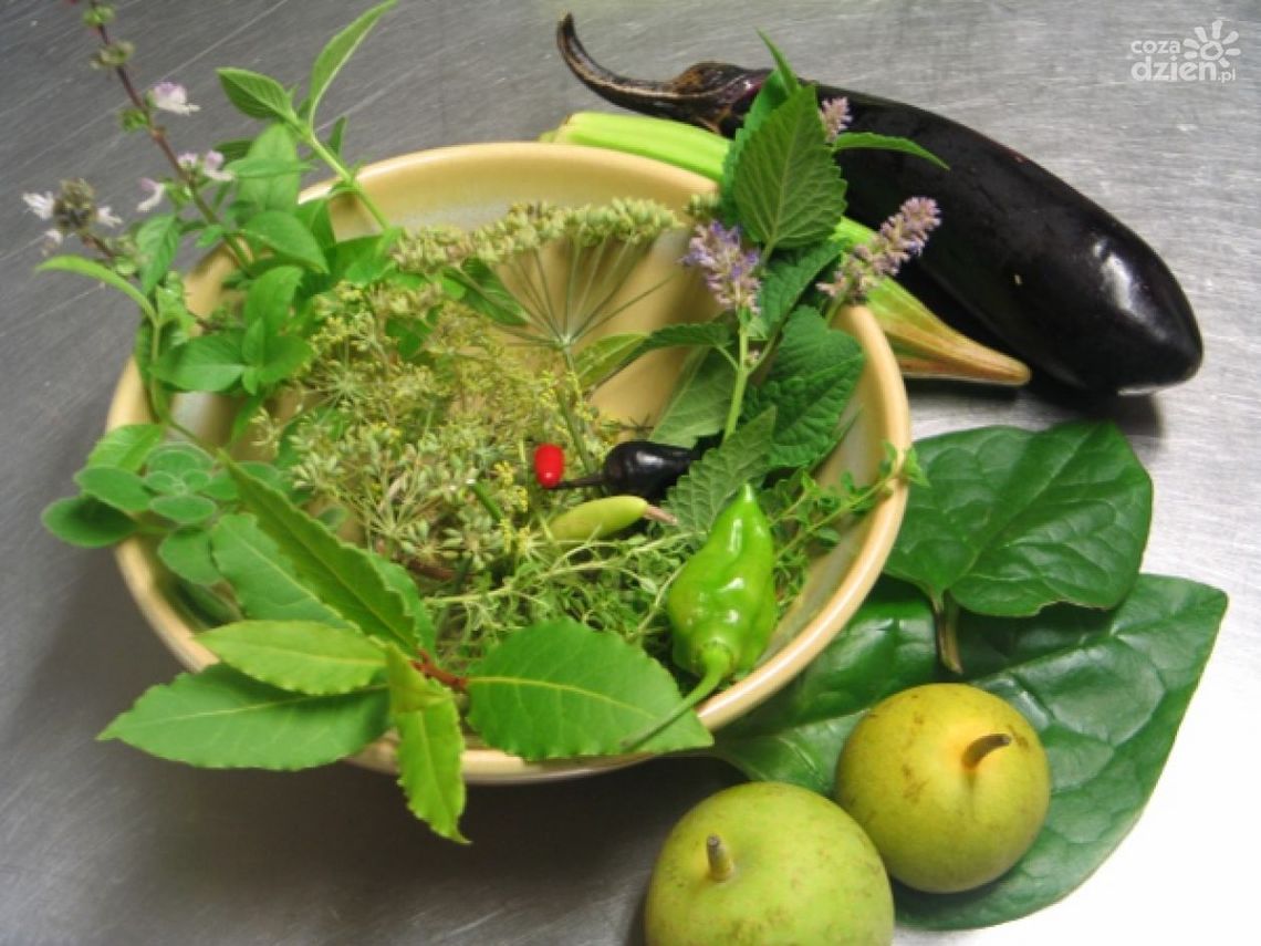 Zioła, które pomogą ci zadbać o odporność zimą!