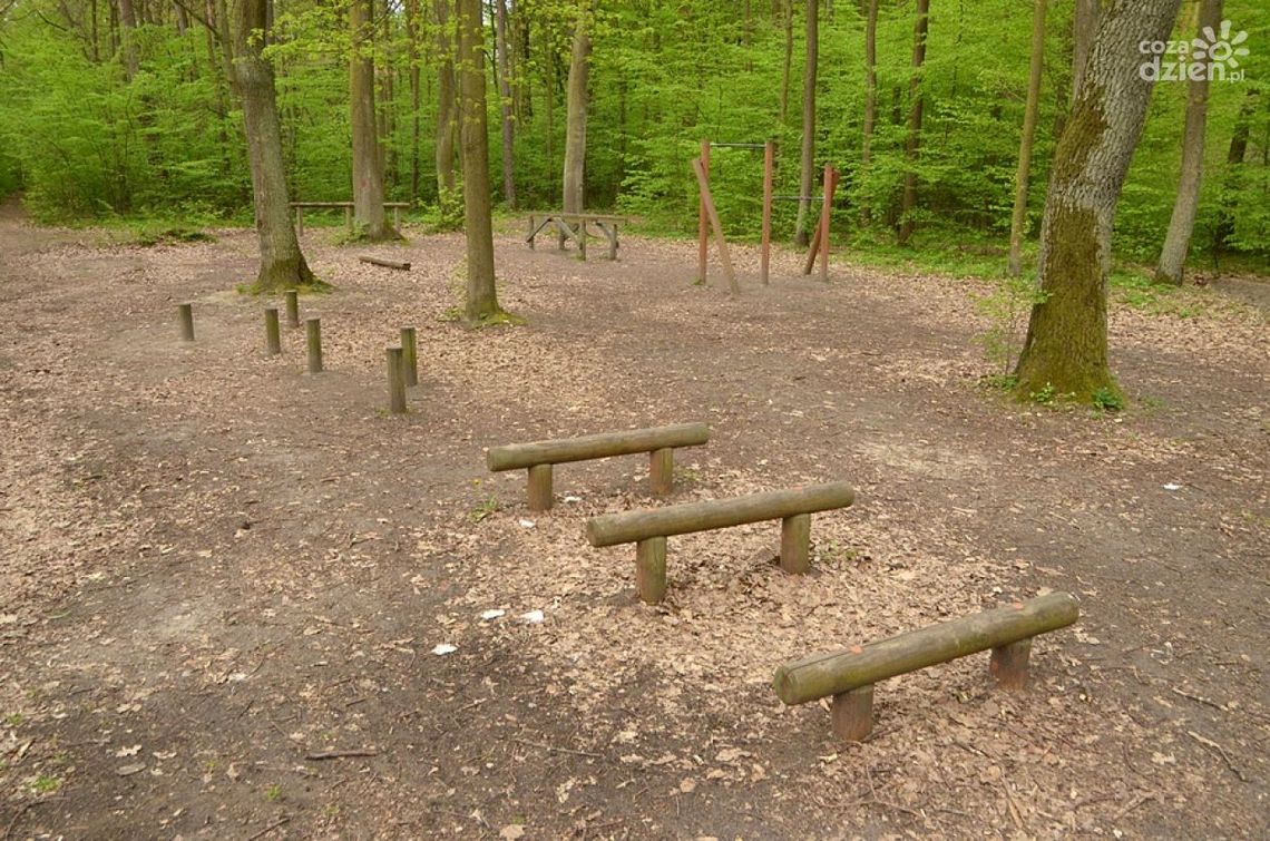 Zlikwidowano plac zabaw w Lesie Kapturskim