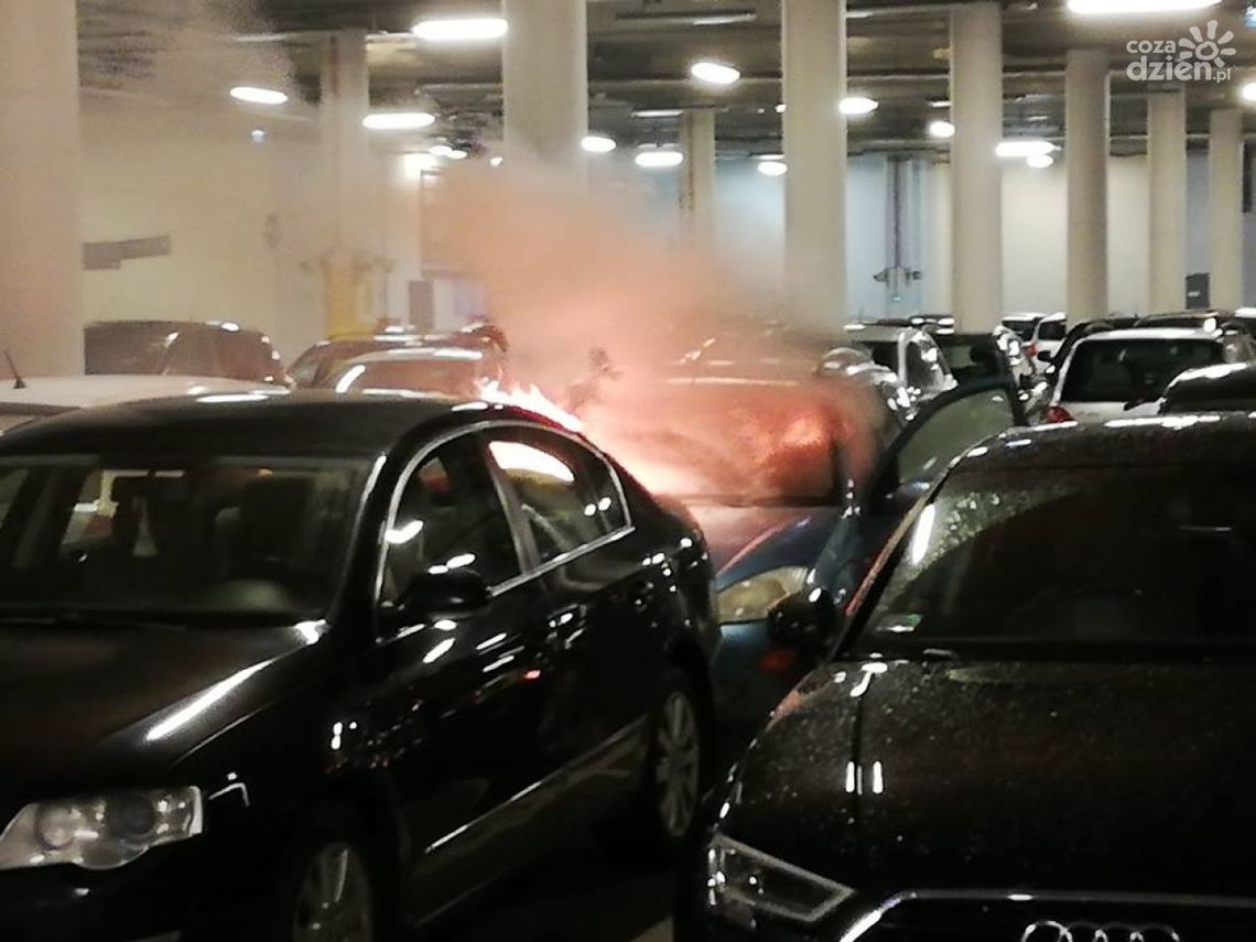 Zlot bmw w Białobrzegach. Posypały się mandaty