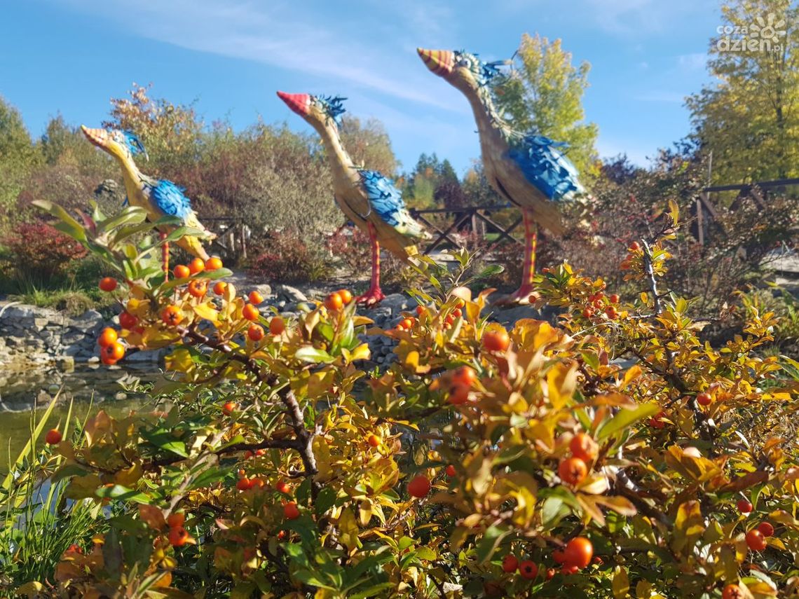 Złota jesień w Magicznych Ogrodach