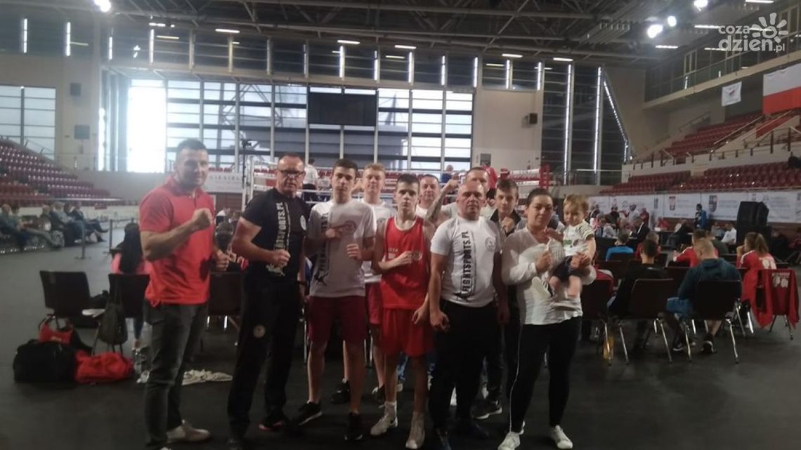 Złoto młodego pięściarza RKB Boxing Złoto młodego pięściarza RKB Boxing