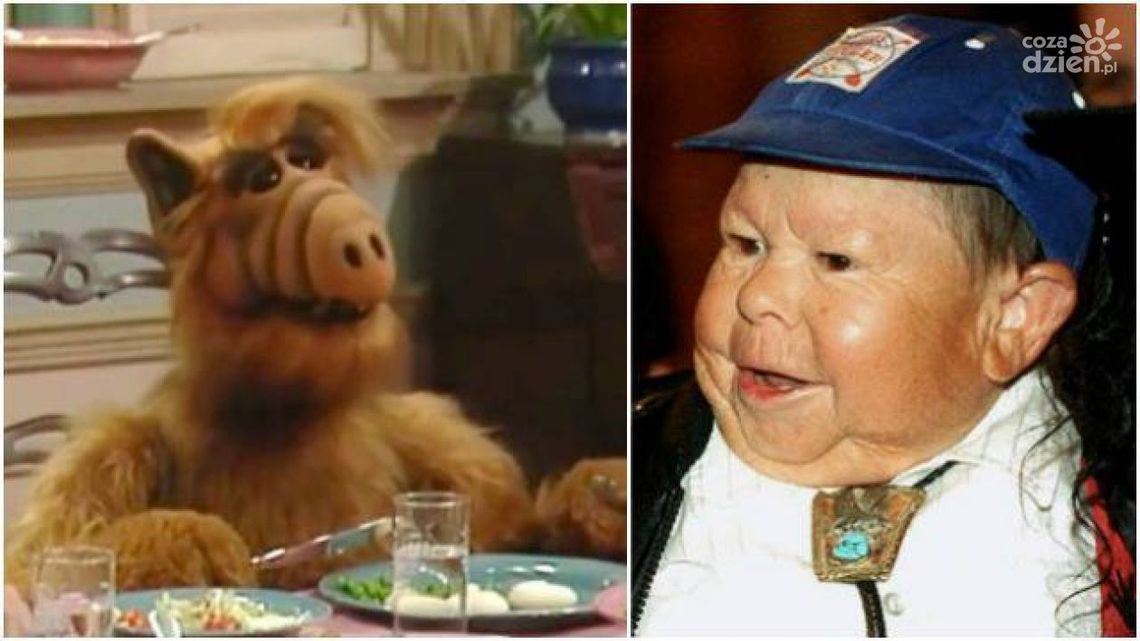 Zmarł kosmita Alf - Mihaly Meszaros