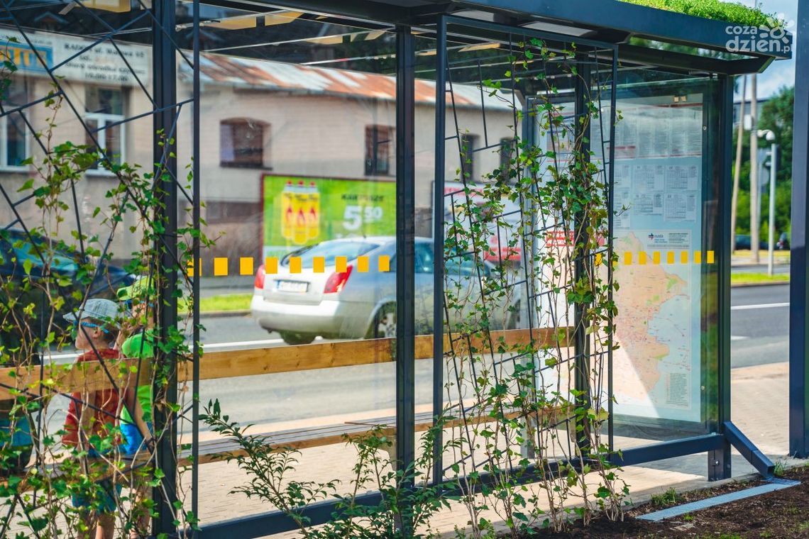 Zmiana przystankowa przy ul. Okulickiego