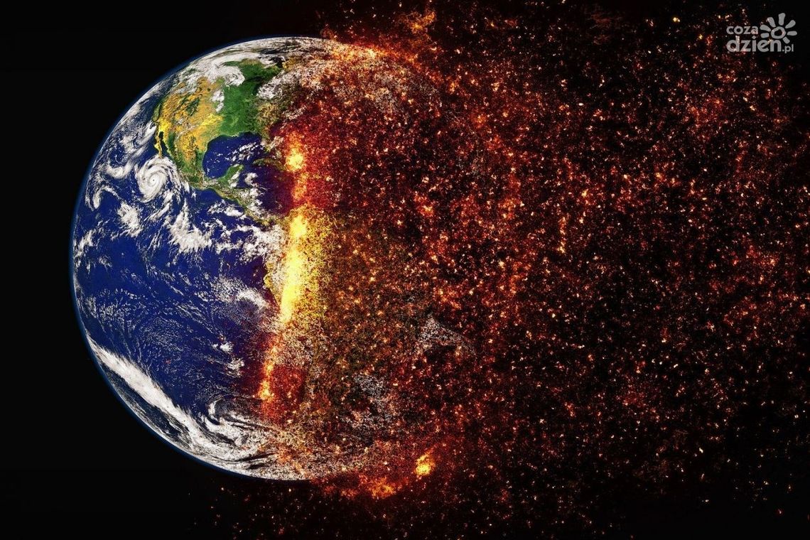 Zmiany klimatu wyniszczają coraz więcej roślin. O tym, jak na roślinność działa globalne ocieplenie