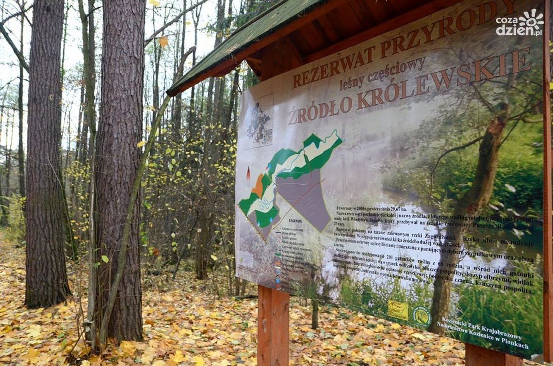 Zmiany w Królewskich Źródłach