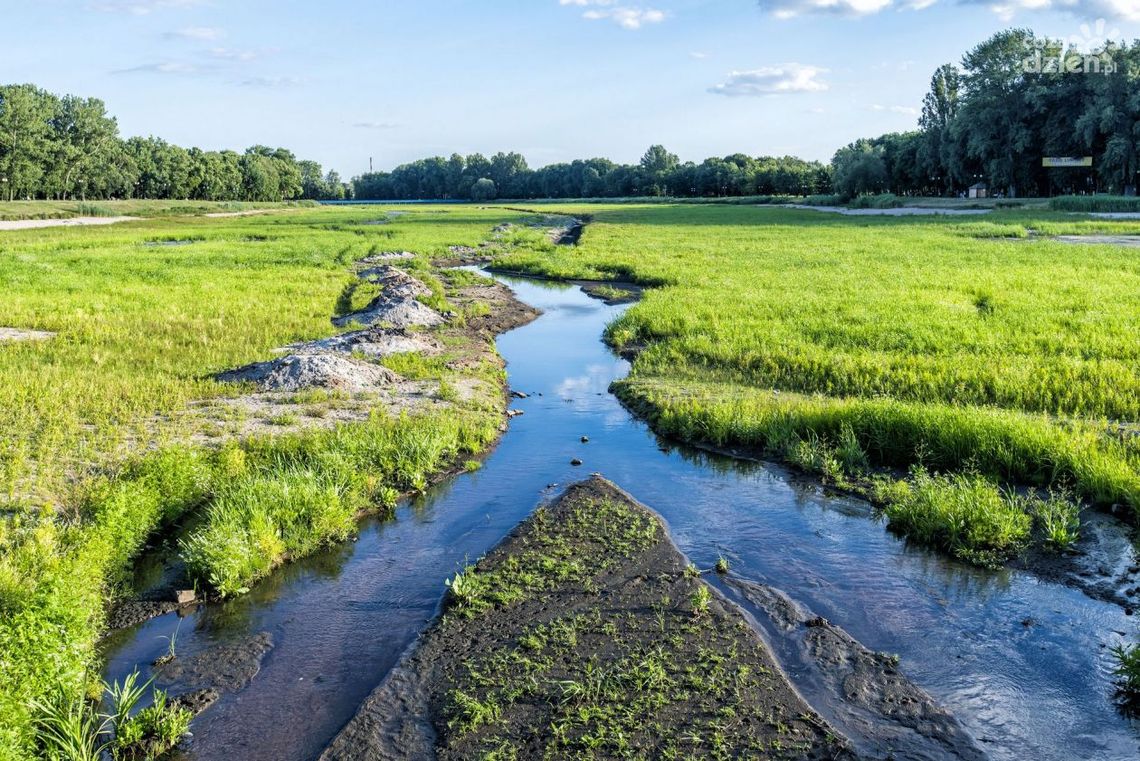 Znaleziono ciało na Borkach