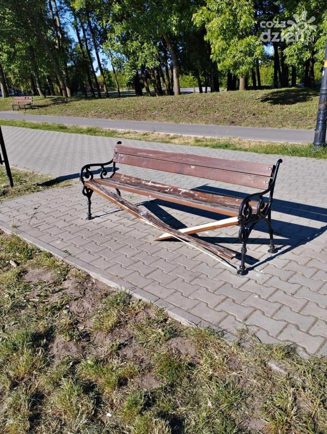 Zniszczyli ławki na Borkach