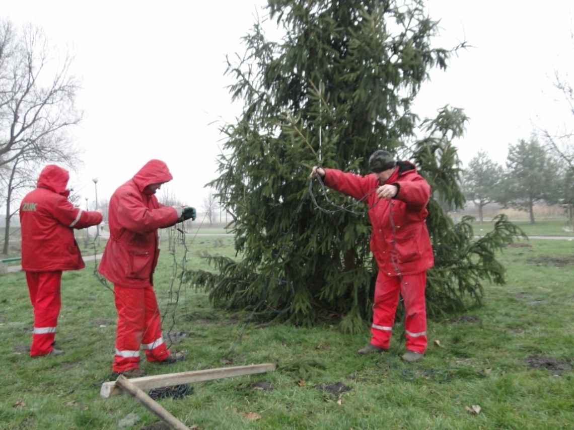 Zniszczyli nawet... świąteczną choinkę! Zniszczyli nawet... świąteczną choinkę!