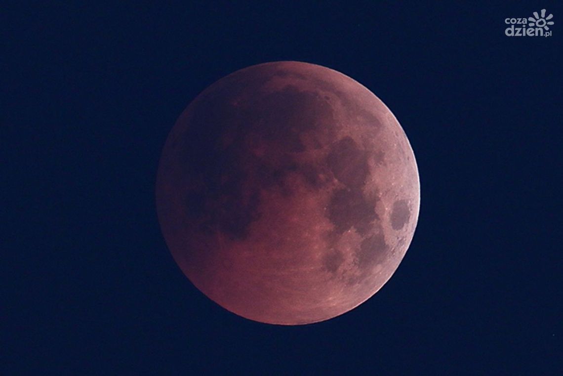 Zobacz częściowe zaćmienie księżyca