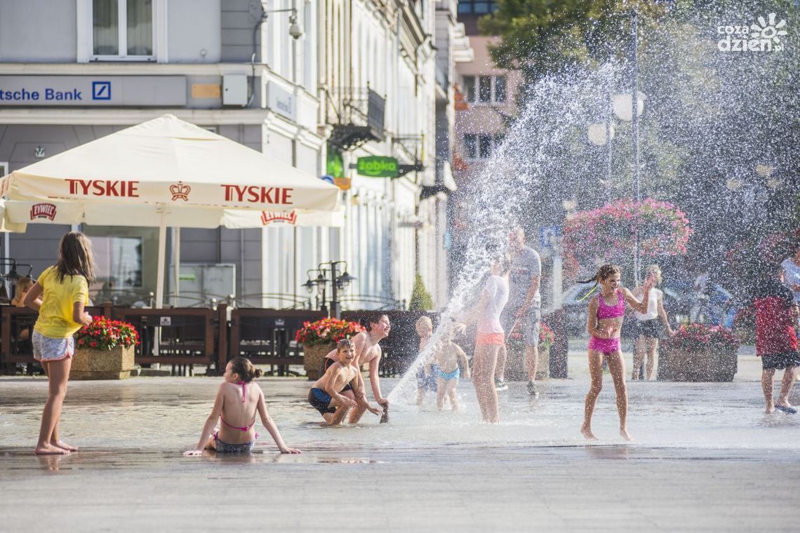 Zobacz najciekawsze zdjęcia lipca Zobacz najciekawsze zdjęcia lipca