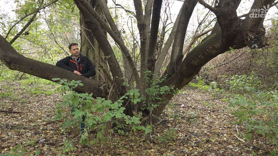 Zobacz najlepsze miejsca - "Z kamerą w plecaku"