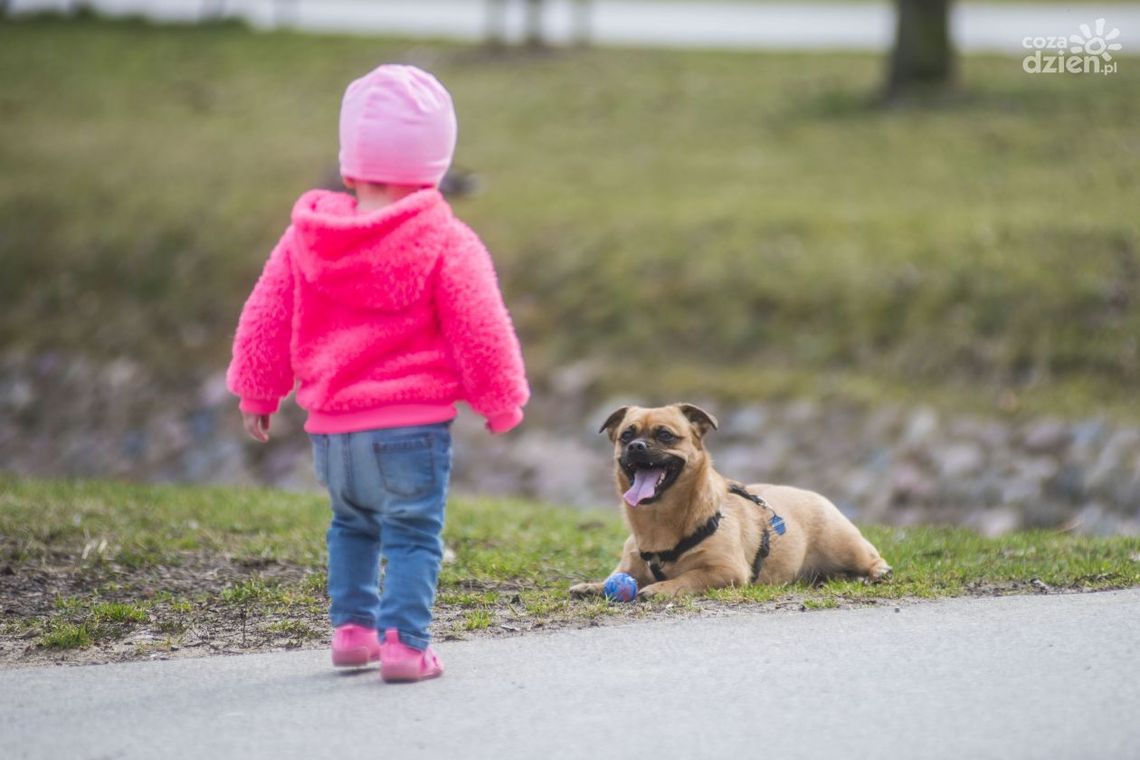 Zobacz pierwsze zdjęcia wiosennego Radomia